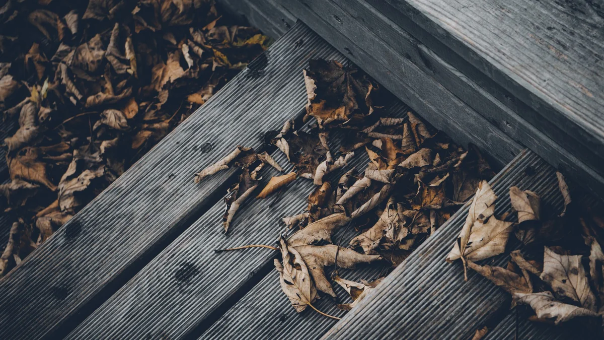 Feuilles mortes accumulées entre les lames grisées d'une terrasse en bois